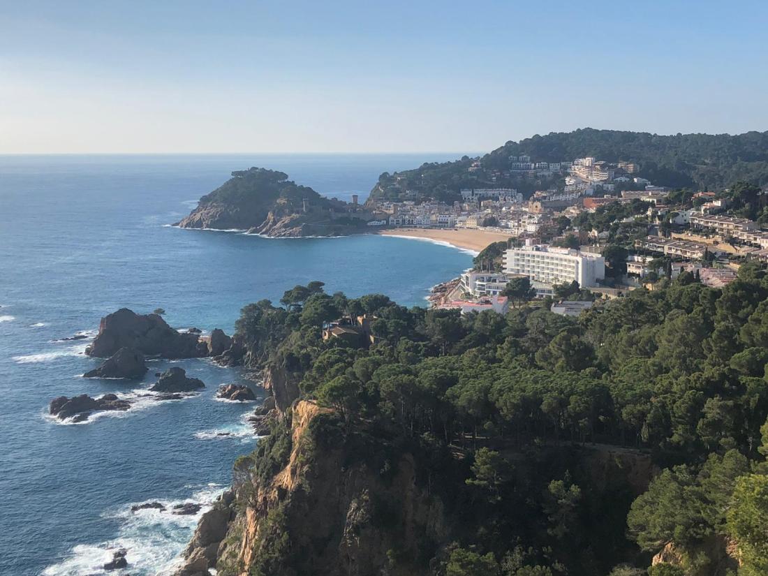 photo 15-1-19, 11 43 09 am